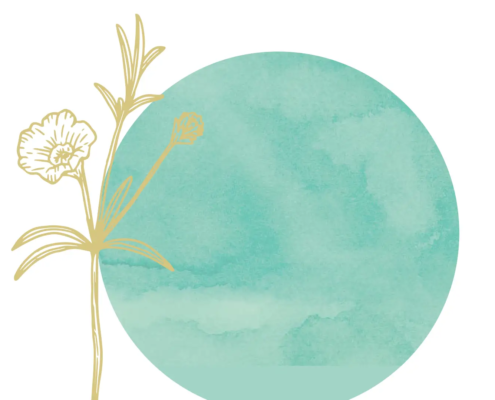 Was bedeutet Schöpfungsspiritualität? DIGITALE VERANSTALTUNG 26. NOVEMBER 25, 19.30–20.30 UHR