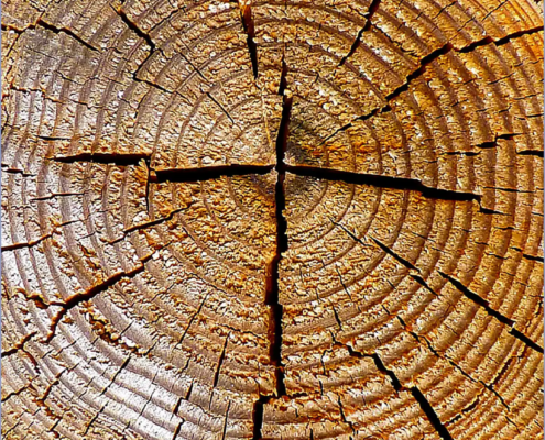 Zeit der Stille und Meditation in der Fastenzeit 2026 – Angebot im Februar und März in der Pfarrei Heilig Geist, Hamburg